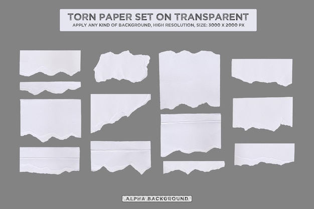 PSD uma folha de papel rasgado branco é mostrada como fundo psd