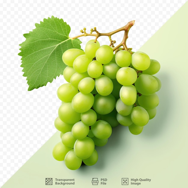 PSD uma foto de um cacho de uvas com uma folha verde.