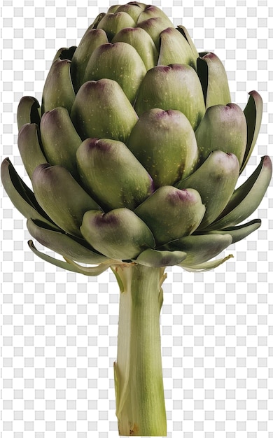 PSD uma foto de uma planta com uma foto de bananas nela