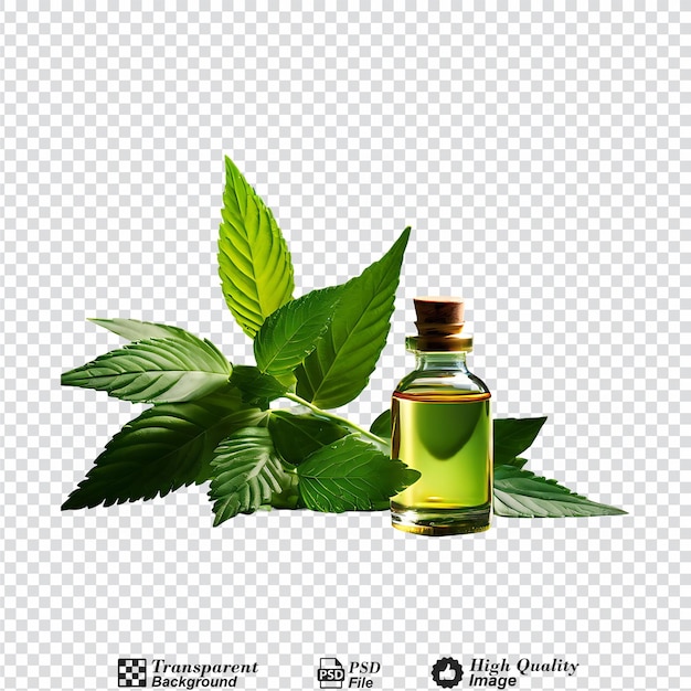 PSD uma garrafa de óleo essencial com uma folha verde ao lado isolada em fundo transparente