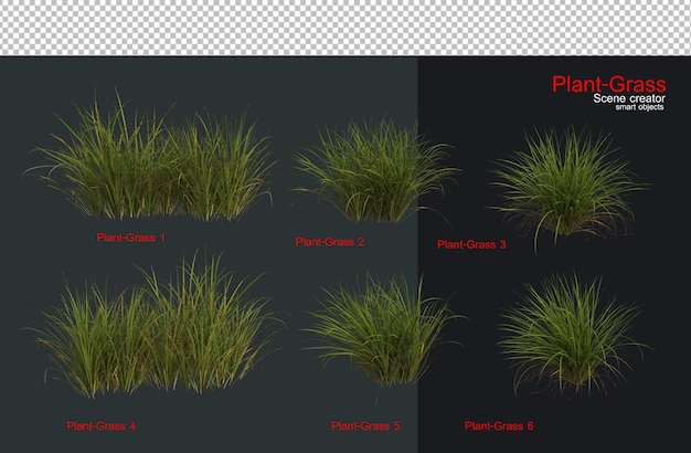 Uma grande variedade de plantas e gramíneas