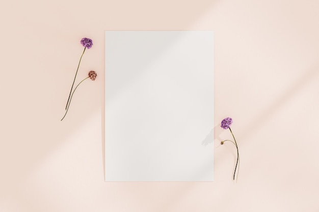 uma imagem de flores e uma moldura de imagem com um fundo rosa