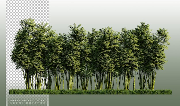PSD uma imagem de renderização 3d de muitos bambus