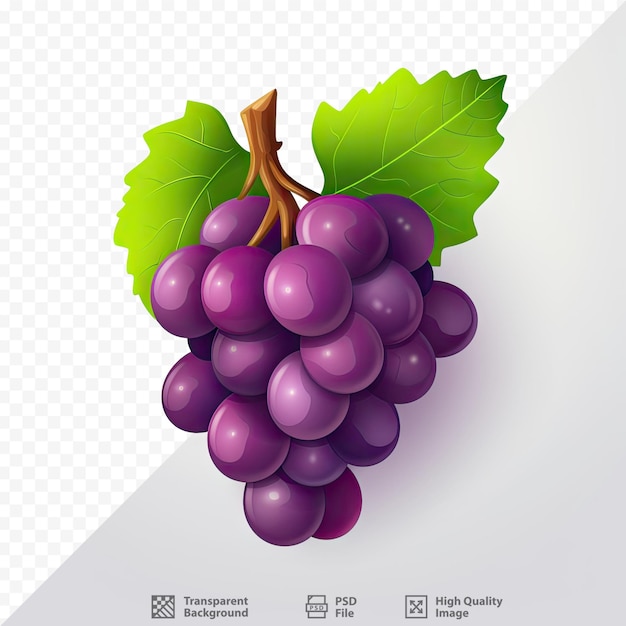 PSD uma imagem de um cacho de uvas com as palavras 