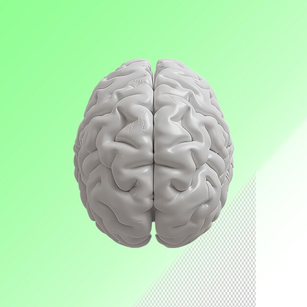 PSD uma imagem de um cérebro que tem um fundo verde