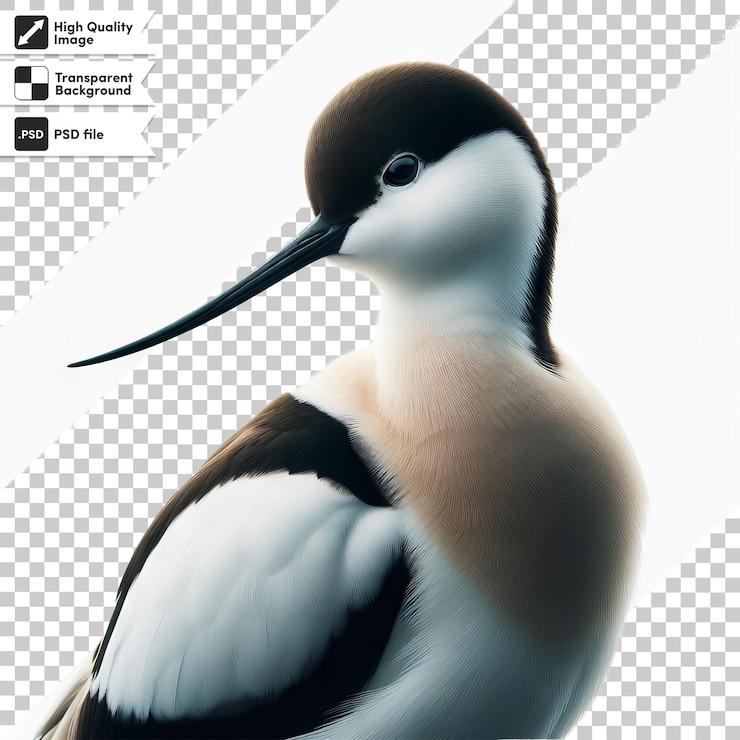 PSD uma imagem de um pássaro com um bico preto