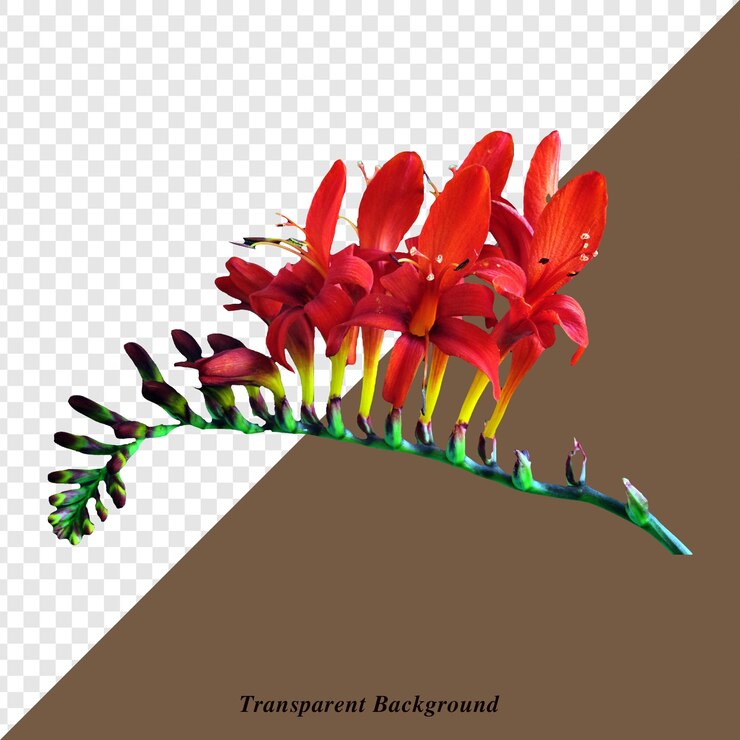 PSD uma imagem de uma flor com as palavras "autobus de turismo" citado nela