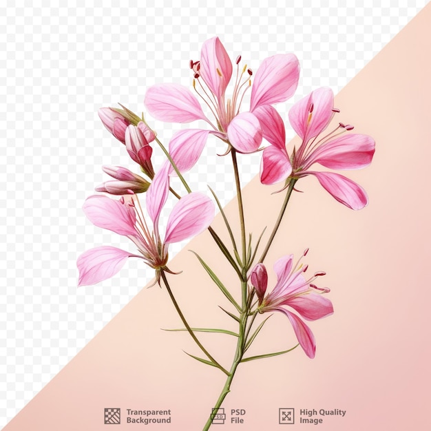 PSD uma imagem de uma flor com o título 