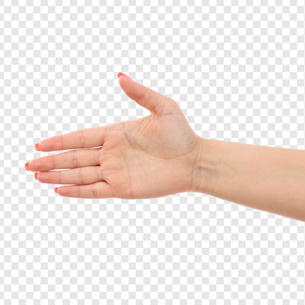 Uma mão feminina de vista frontal com unhas coloridas apertando a mão no branco