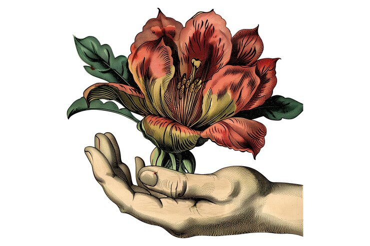 PSD uma mão segurando uma rosa com um caule