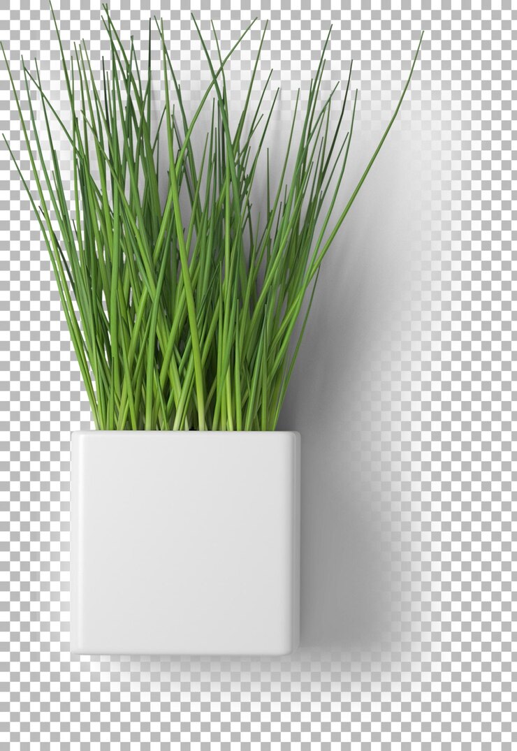 PSD uma moderna plantação branca contendo grama verde vibrante projetada para decoração interior ou exterior