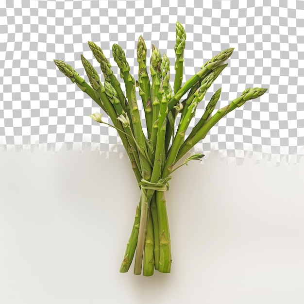 PSD uma planta com folhas verdes em um vaso claro com um fundo xadrez