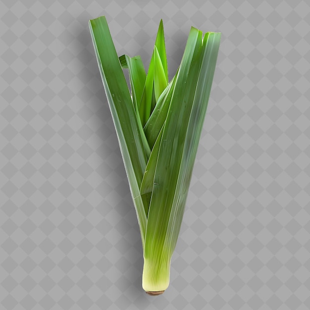 PSD uma planta é mostrada com um caule verde