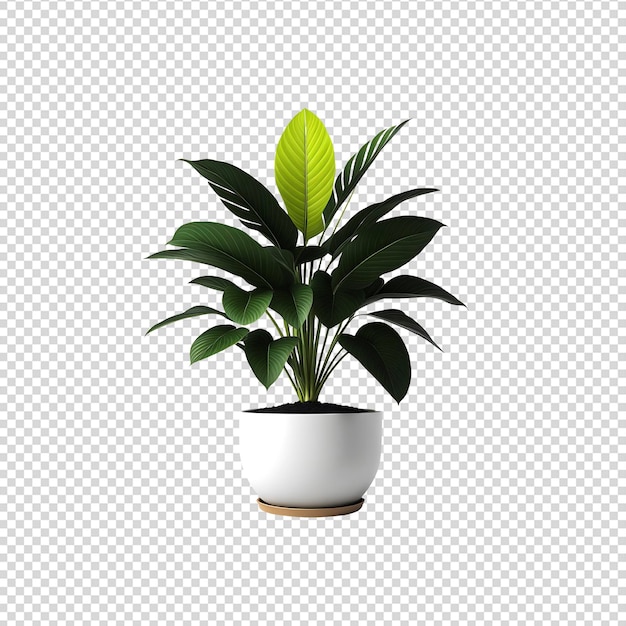 uma planta é mostrada em uma panela branca com uma folha verde