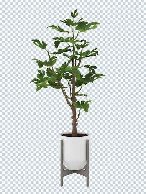 PSD uma planta em um vaso com uma base branca