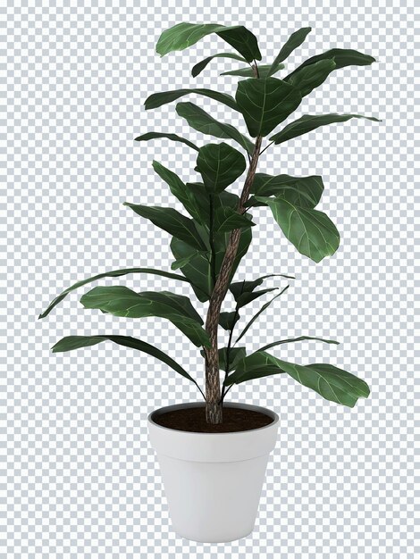 PSD uma planta em uma panela com uma panela branca e uma planta de folhas verdes