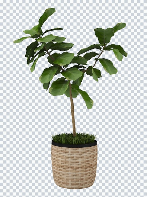Uma planta em vaso com uma cesta de folhas