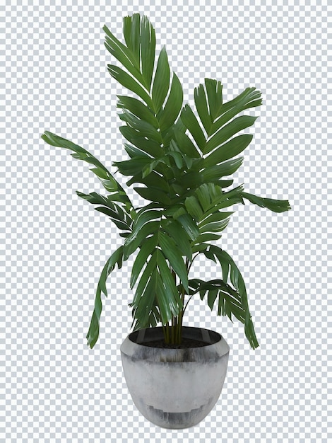 Uma planta verde num vaso com uma planta