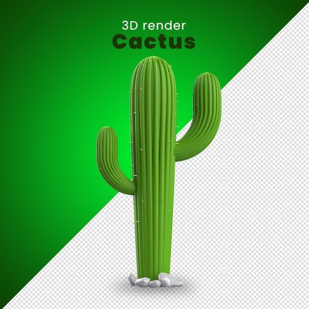 PSD uma renderização 3d de um cacto cacto 3d