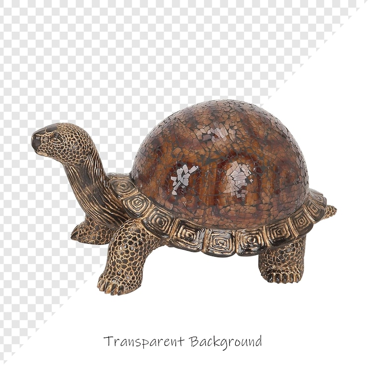 PSD uma tartaruga com um rótulo que diz transporte sobre ele