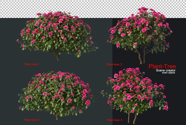 Uma variedade de árvores e plantas
