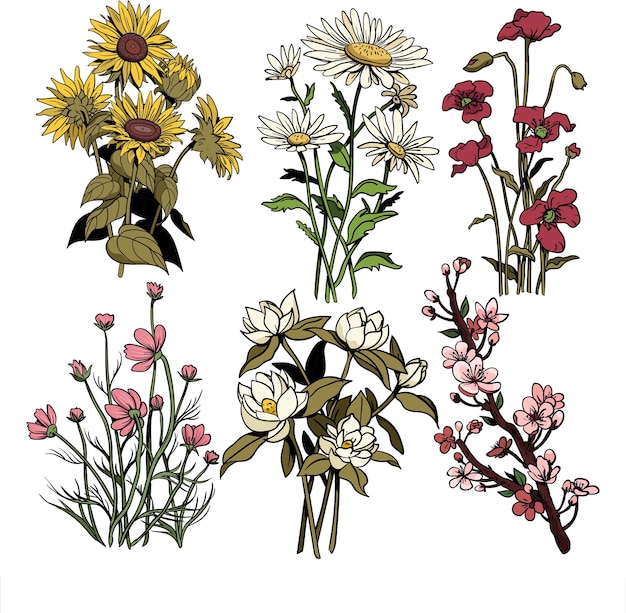 Uma variedade de buquês de flores desenhados à mão