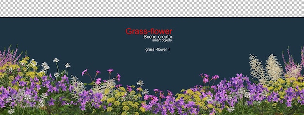 Uma variedade de flores e gramíneas