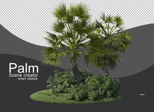 Uma variedade de palmeiras