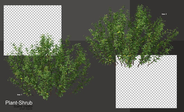 Uma variedade de plantas e arbustos para decorar o jardim
