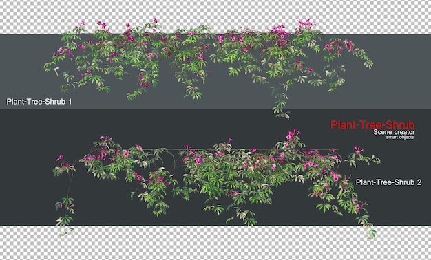 Uma variedade de plantas e árvores