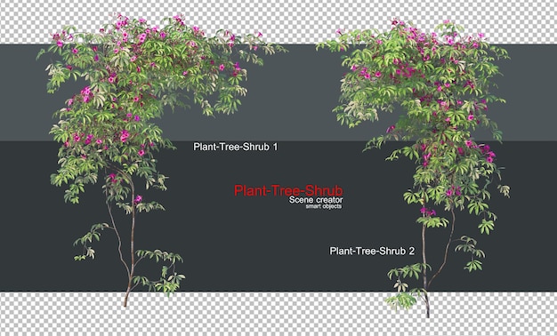 Uma variedade de plantas e árvores