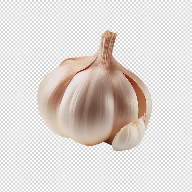 Un aglio con un bulbo bianco sopra