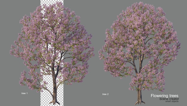 Un albero con fiori di vari colori.