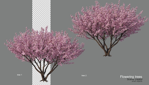 Un albero con fiori di vari colori.