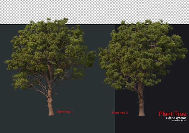 Un albero con il testo " f " a sinistra