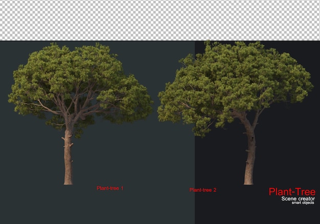 Un albero con un albero nell'angolo sinistro