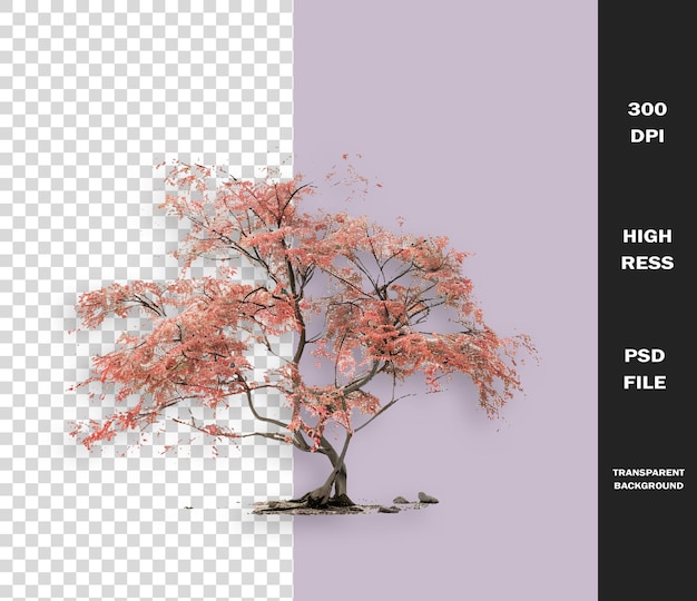 un albero con una foto di un albero e le parole quote 100 off quote