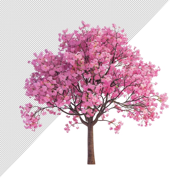 Un albero di ciliegio in fiore con fiori rosa