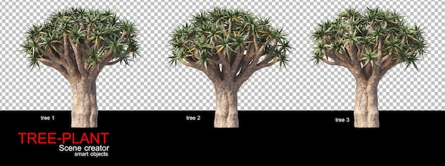 Un'ampia varietà di alberi e arbusti