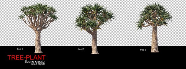 Un'ampia varietà di alberi e arbusti