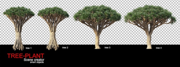 Un'ampia varietà di alberi e arbusti