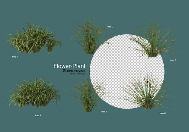 Un'ampia varietà di fiori e piante di varie forme