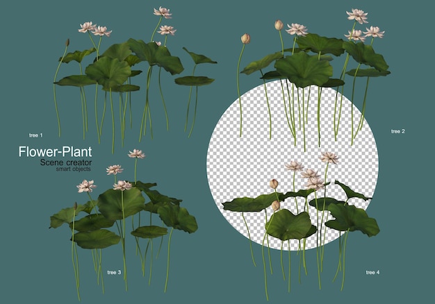 Un'ampia varietà di fiori e piante di varie forme