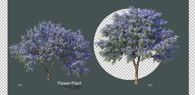 un'ampia varietà di fiori e piante