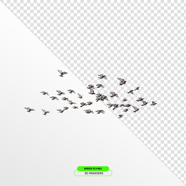 PSD un branco di uccelli in volo in 3d
