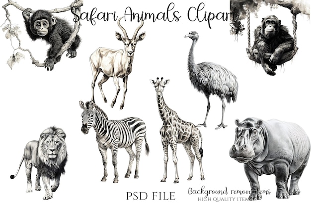 un collage di animali e animali in bianco e nero.
