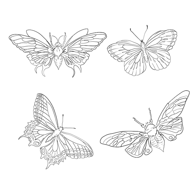 Un disegno di farfalle Set di illustrazioni per farfalle