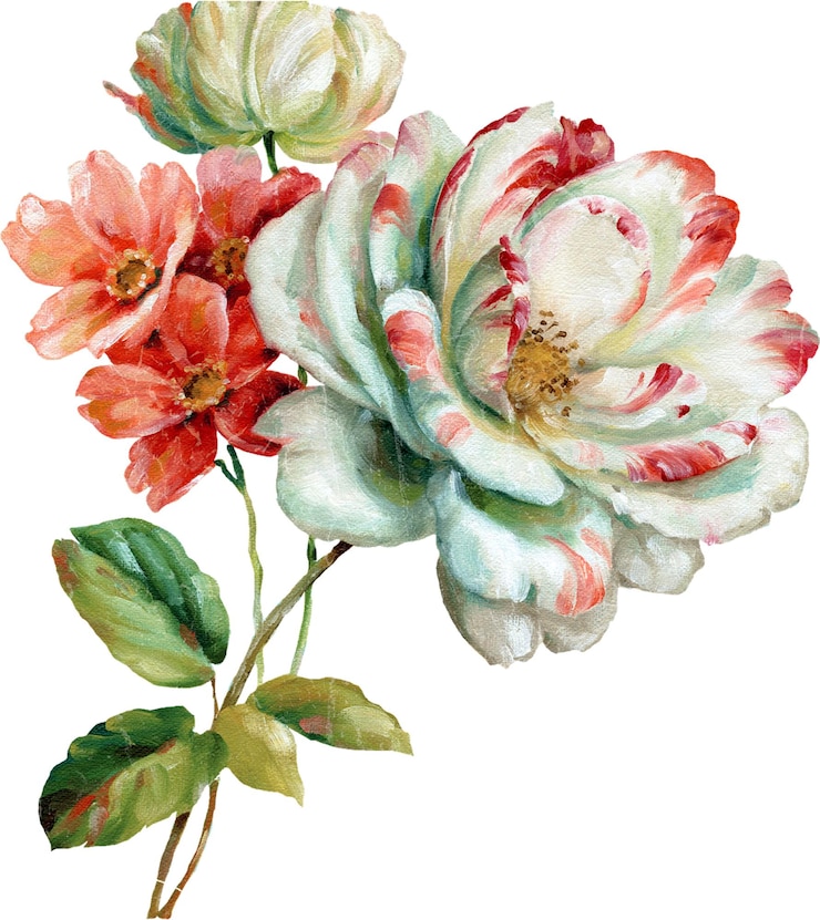 PSD un disegno di fiori con la parola " peonie " sopra