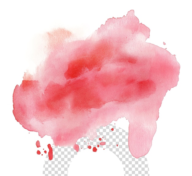un disegno di un cavallo con uno sfondo rosa e la parola "pom" su di esso