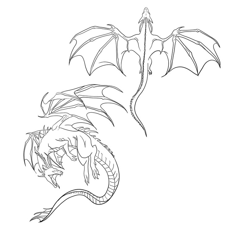 PSD un disegno di un drago linea arte tatuaggio design tatuaggio arte tatuaggio drago tatuaggio fuoco drago